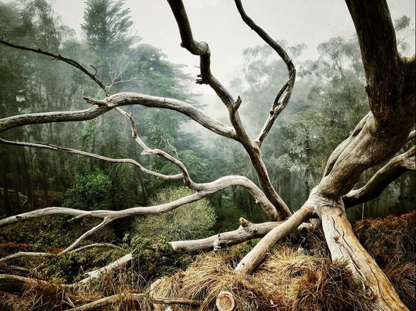 Ganadores de los iPhone Photography Awards 2014 Ganadores de los iPhone Photography Awards 2014