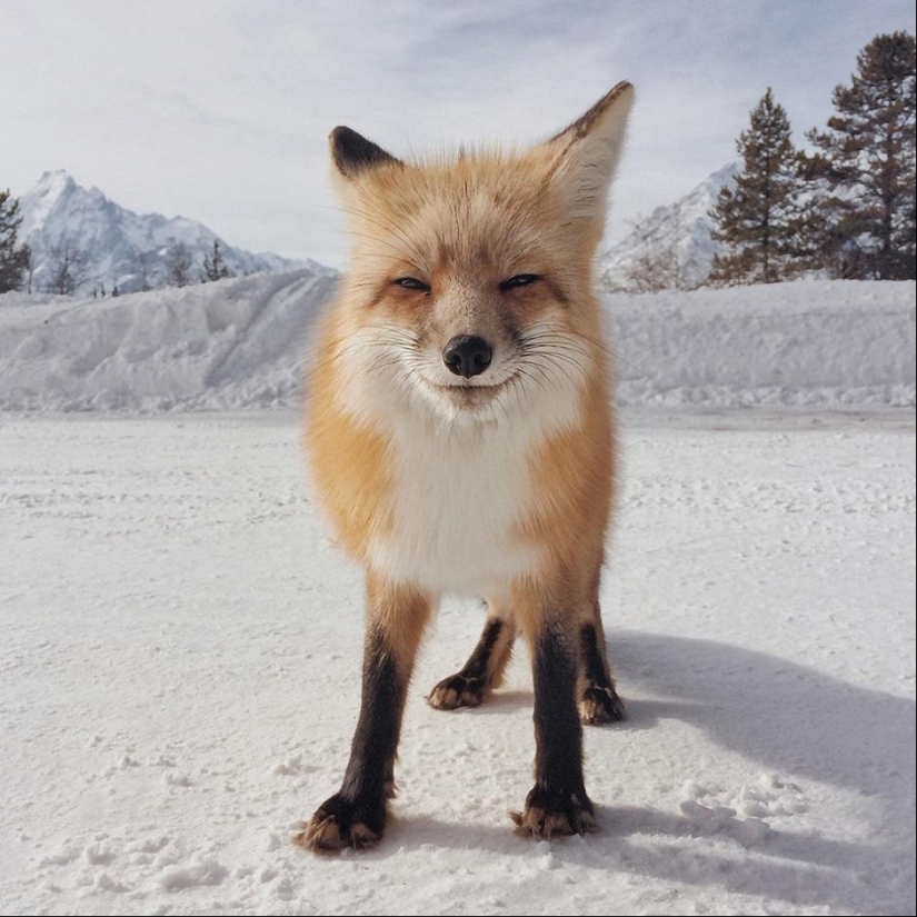 Ganadores de los iPhone Photography Awards 2014 Ganadores de los iPhone Photography Awards 2014