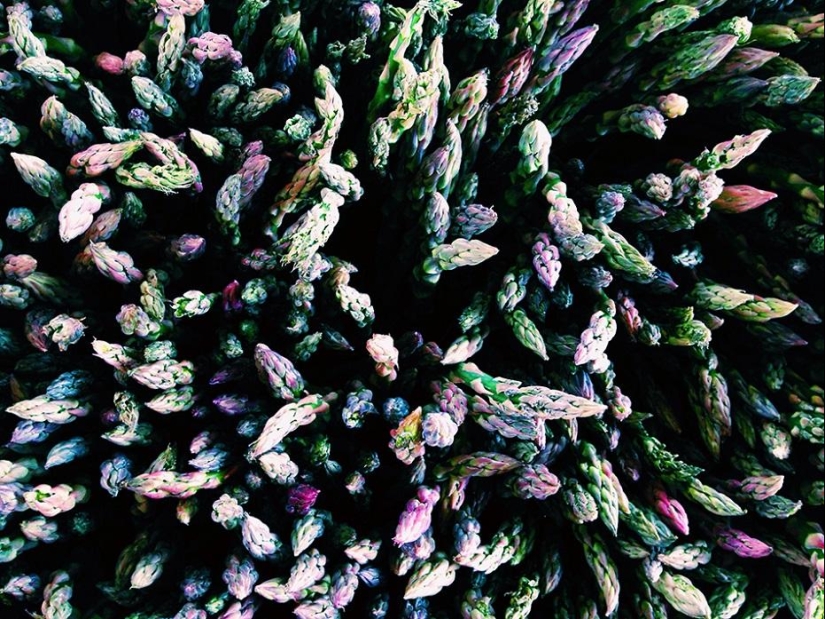 Ganadores de los iPhone Photography Awards 2014 Ganadores de los iPhone Photography Awards 2014