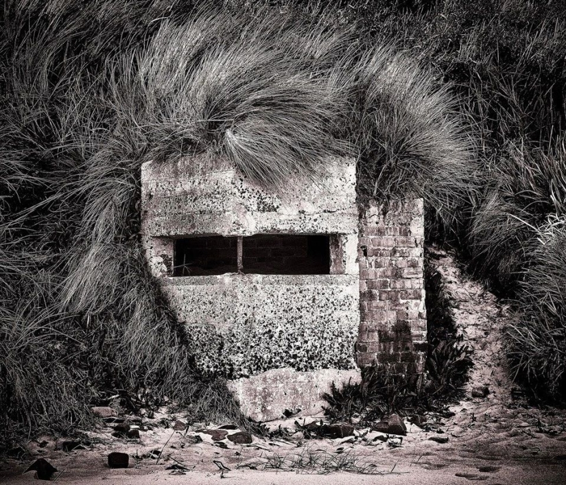 Ganadores del concurso de fotografía de la revista Smithsonian