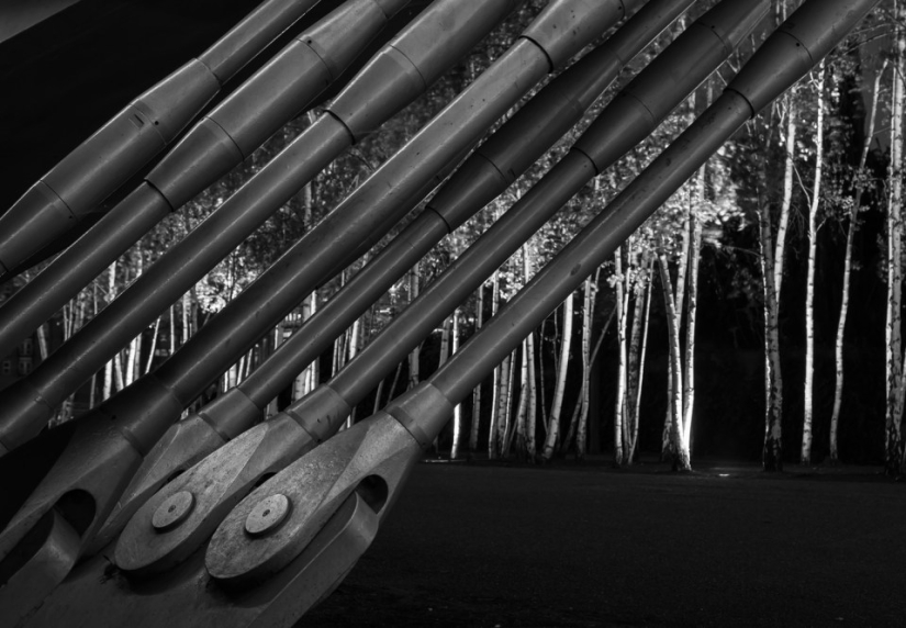 Ganadores del concurso de fotografía de la revista Smithsonian