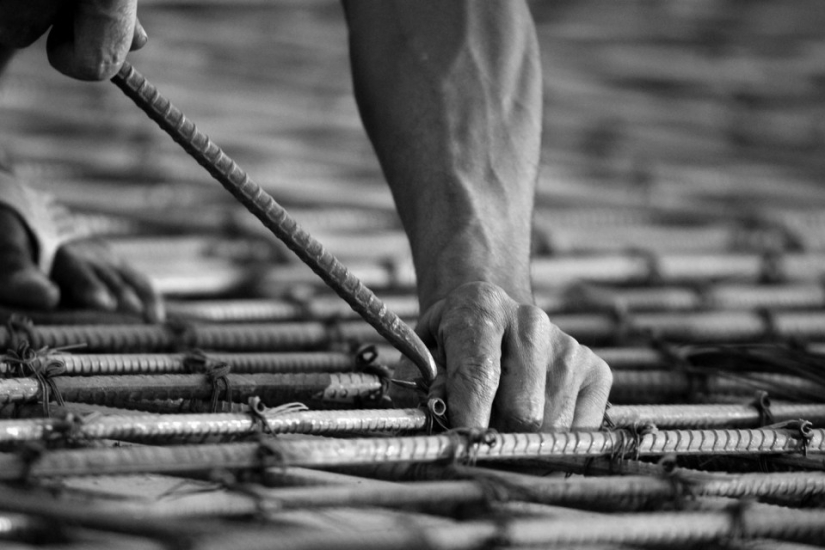 Ganadores del concurso de fotografía de la revista Smithsonian