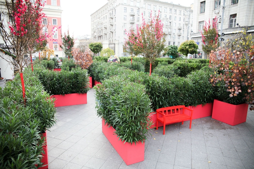 Gastronomic autumn in Moscow