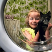 Gatito sobrevivió milagrosamente después de una hora de lavado en una máquina de escribir