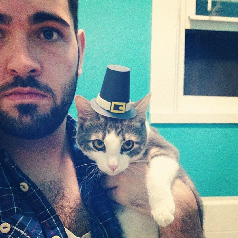 gatitos con sombreros gatitos con sombreros