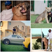 Gatos depredadores y coches caros: el ocio de un árabe millonario