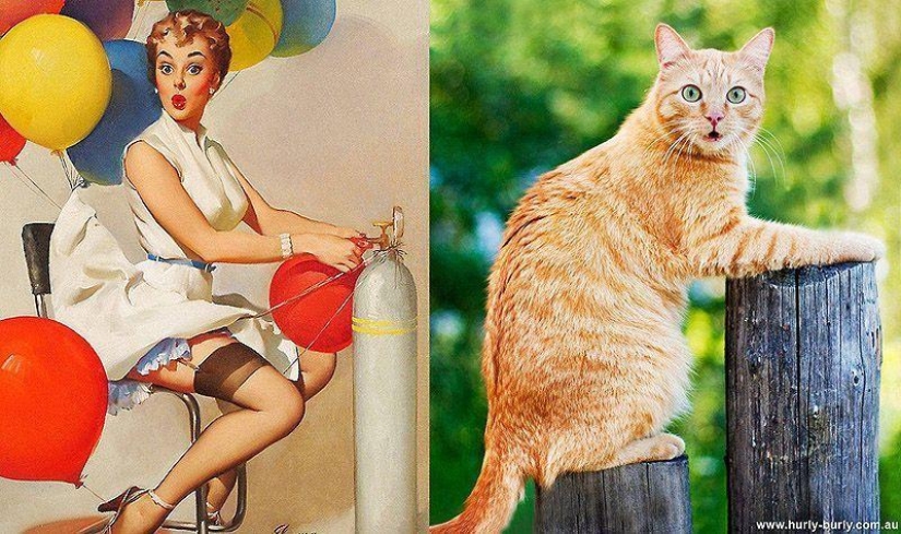 Gatos y niñas en estilo pinup