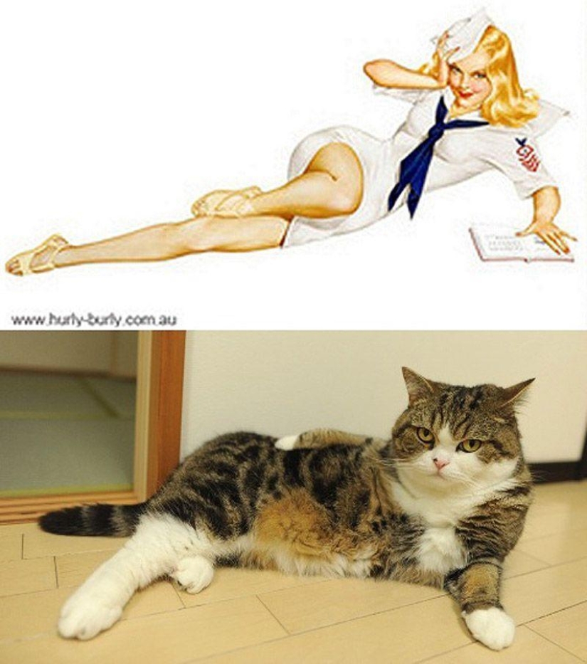 Gatos y niñas en estilo pinup