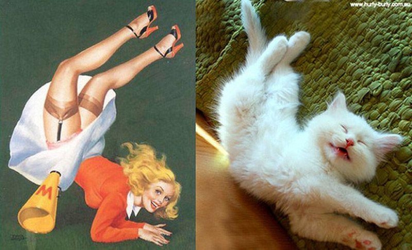 Gatos y niñas en estilo pinup