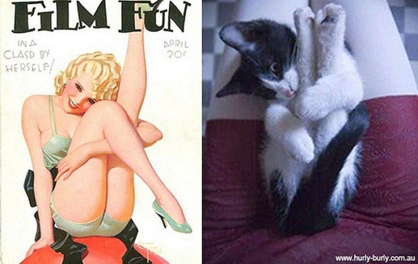 Gatos y niñas en estilo pinup