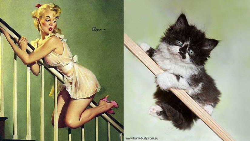 Gatos y niñas en estilo pinup