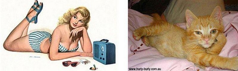 Gatos y niñas en estilo pinup