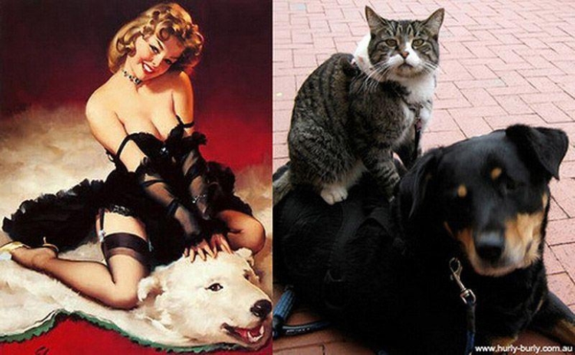 Gatos y niñas en estilo pinup