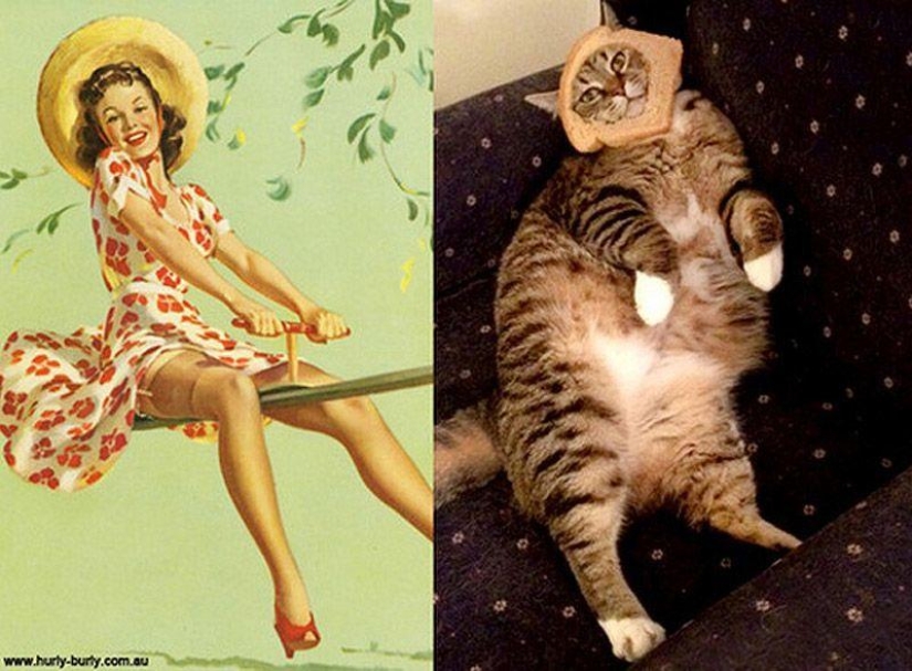 Gatos y niñas en estilo pinup