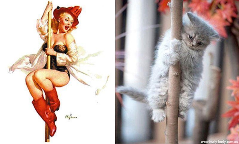Gatos y niñas en estilo pinup