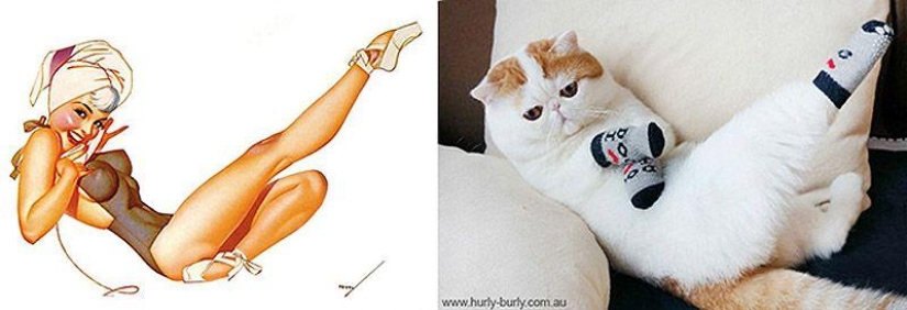 Gatos y niñas en estilo pinup