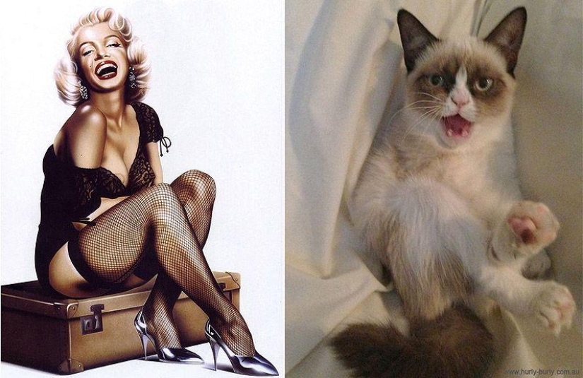 Gatos y niñas en estilo pinup
