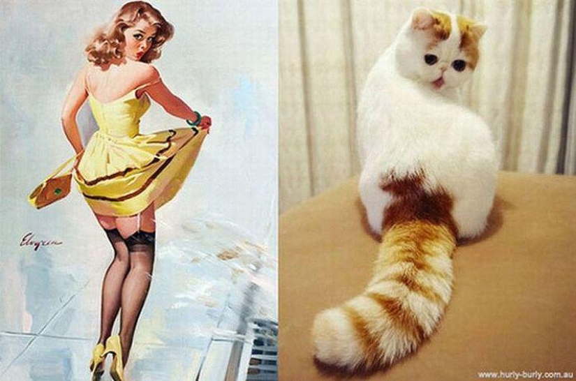 Gatos y niñas en estilo pinup
