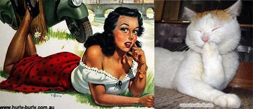 Gatos y niñas en estilo pinup