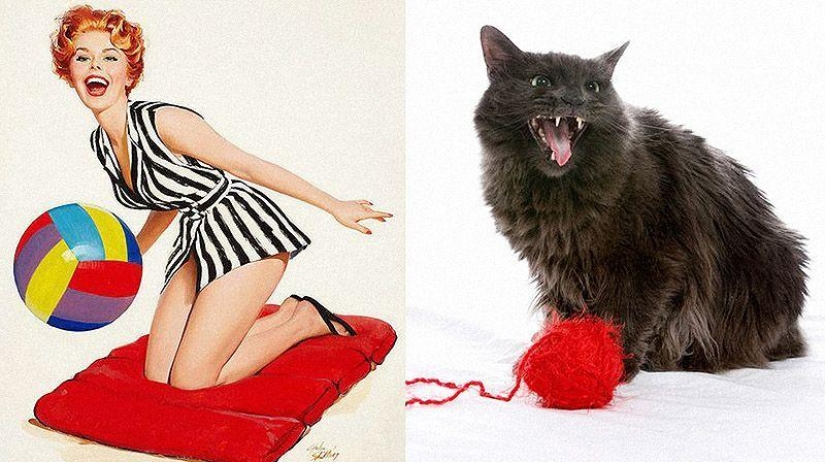 Gatos y niñas en estilo pinup