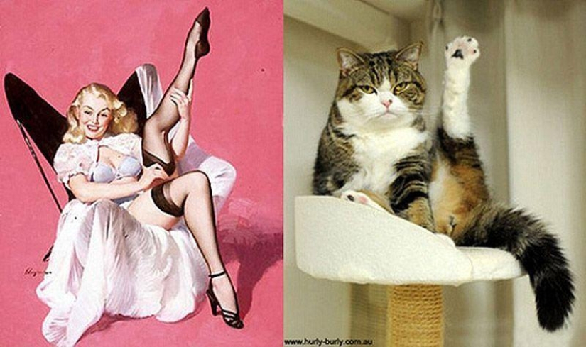 Gatos y niñas en estilo pinup