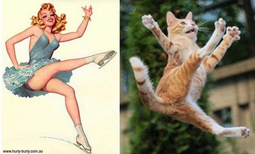 Gatos y niñas en estilo pinup