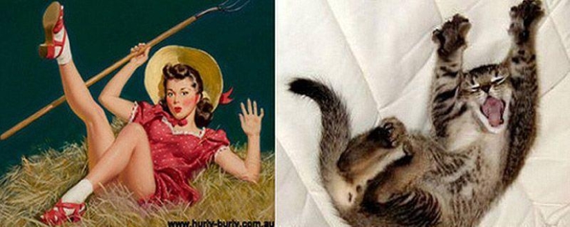 Gatos y niñas en estilo pinup