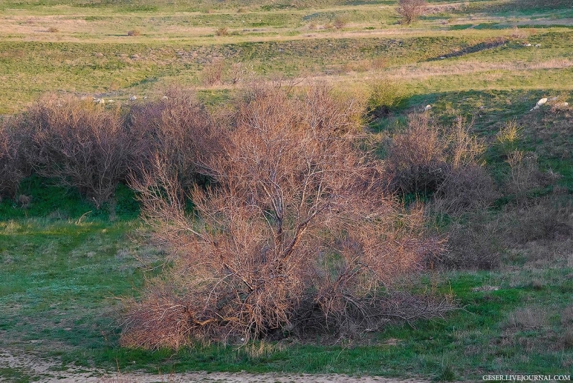 General's beaches of the Kerch Peninsula