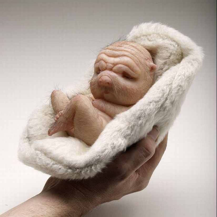 Gentiles monstruos de Patricia Piccinini