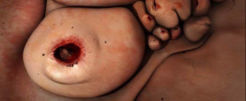 Gentiles monstruos de Patricia Piccinini