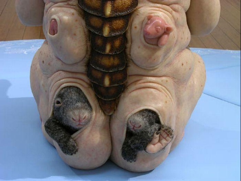 Gentiles monstruos de Patricia Piccinini