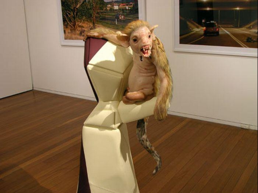 Gentiles monstruos de Patricia Piccinini