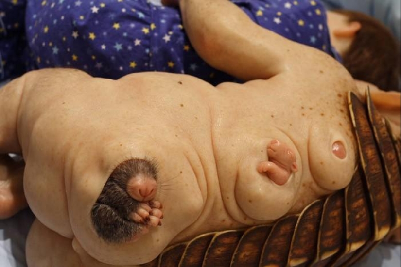 Gentiles monstruos de Patricia Piccinini