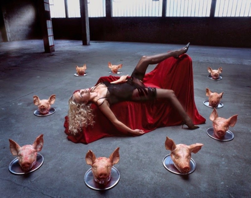 Gerard Ransinant - el fotógrafo más famoso de Francia Gerard Ransinant - el fotógrafo más famoso de Francia