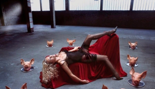 Gerard Ransinant - the most famous photographer in France