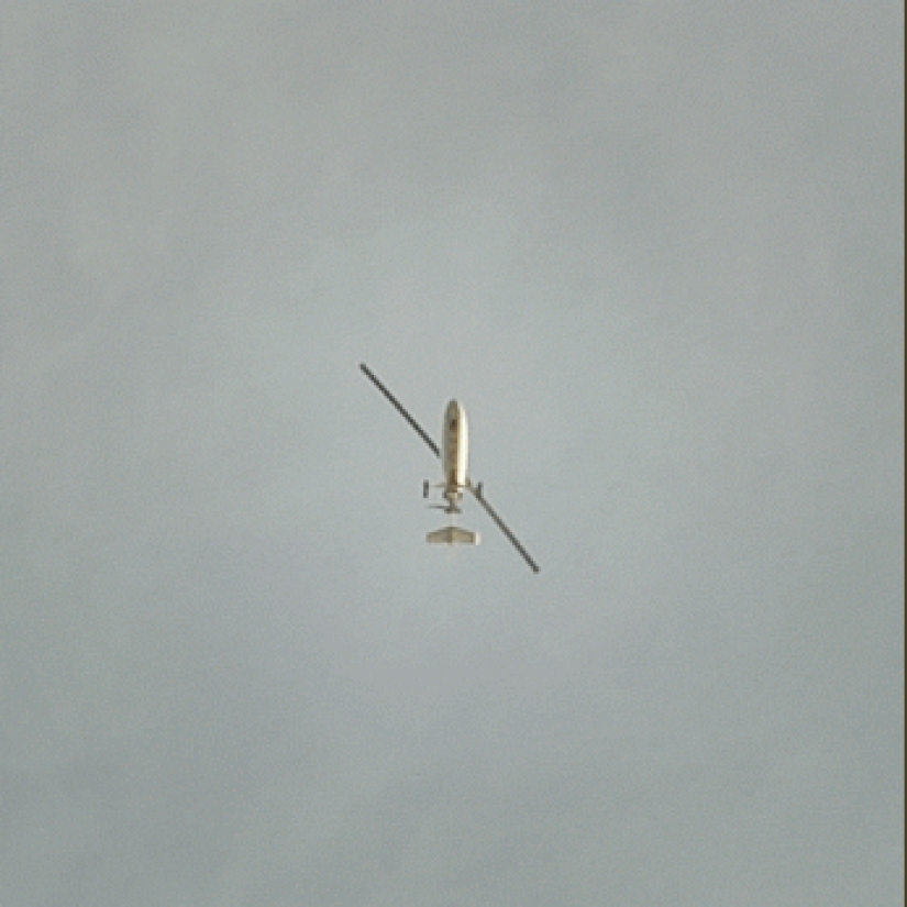 Gifs of Micael Reynaud