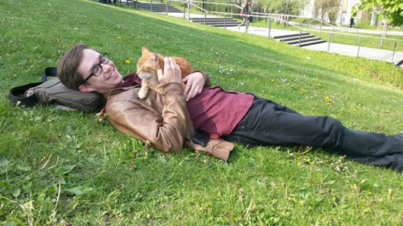 Ginger cat cuida de estudiantes de Alemania