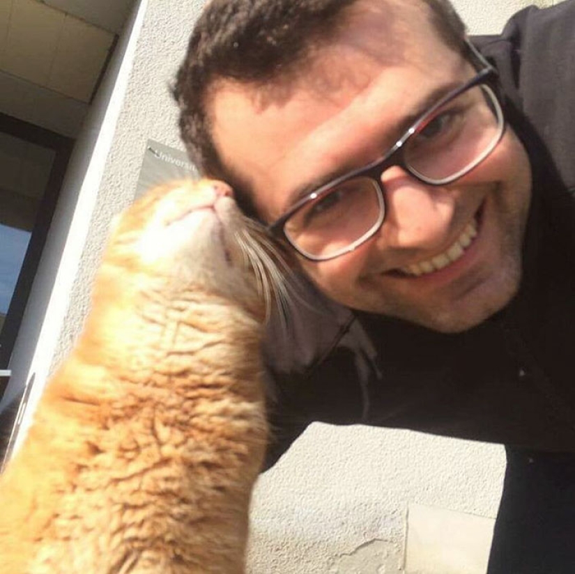 Ginger cat cuida de estudiantes de Alemania