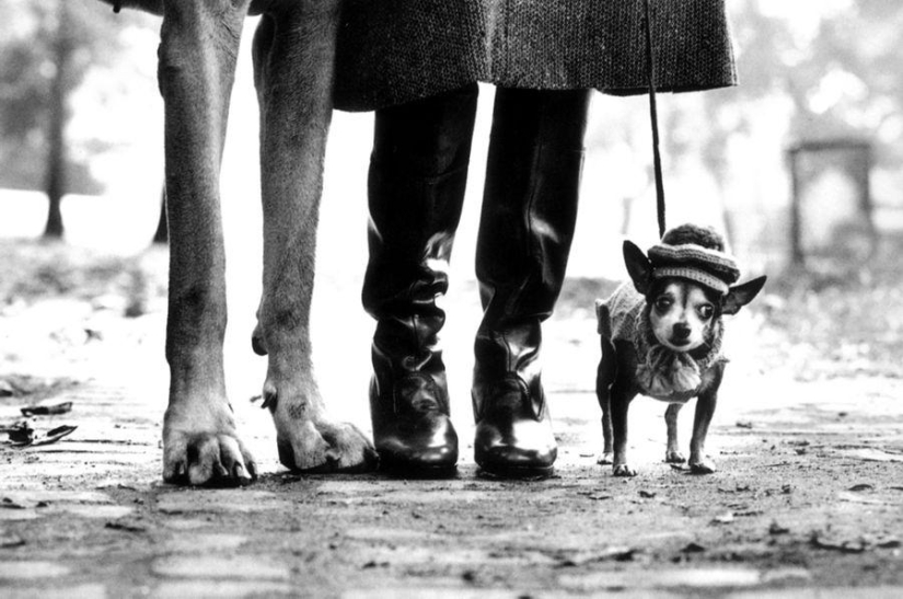 Golpes irónicos de Elliott Erwitt