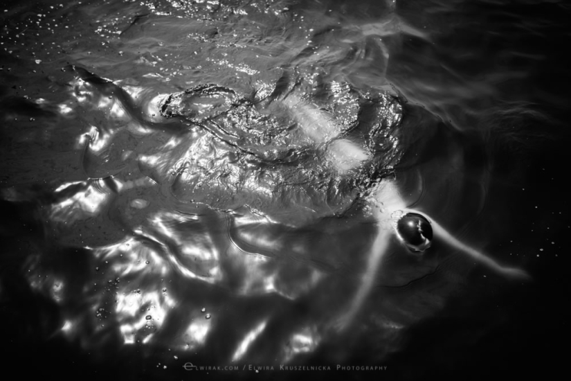 Goodbye, summer: atmospheric summer photos by a Polish photographer