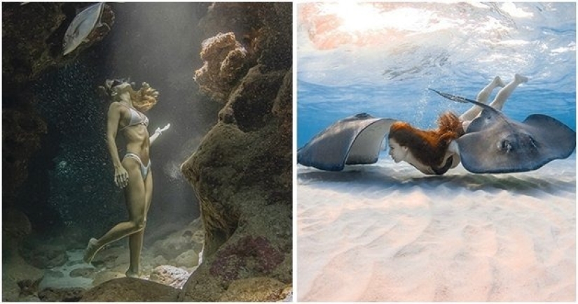 Graciosas sirenas en ingravidez en las pinturas de un fotógrafo submarino (14 fotos)