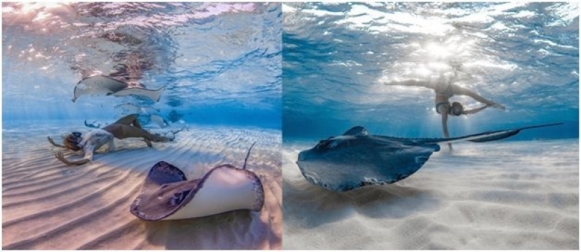 Graciosas sirenas en ingravidez en las pinturas de un fotógrafo submarino (14 fotos)