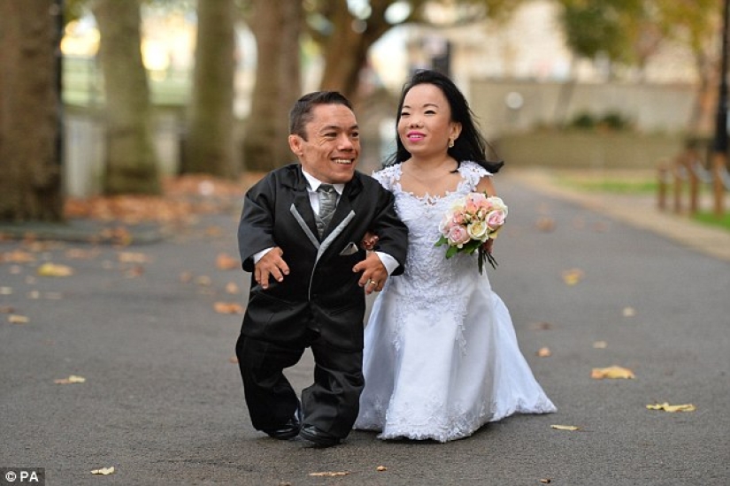 Gran día para gente pequeña: la pareja más baja del mundo finalmente se casó