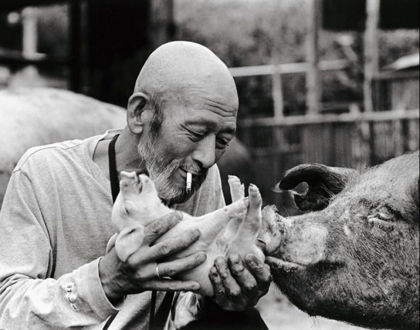 Granjero de cerdo feliz y sus mascotas