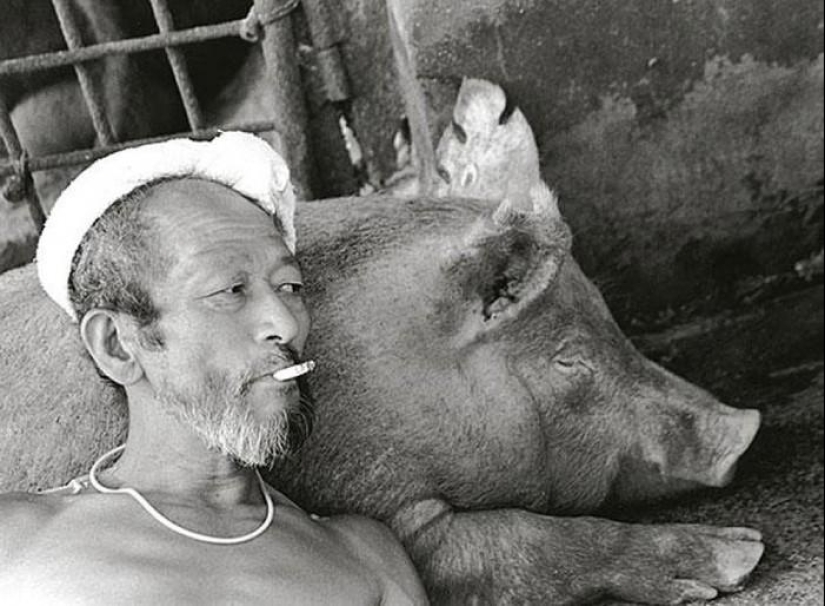 Granjero de cerdo feliz y sus mascotas