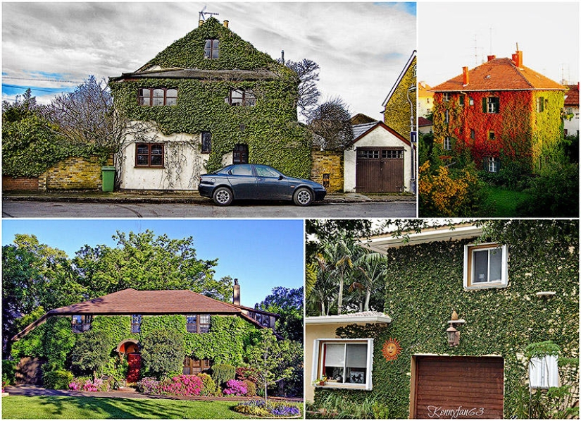 Green houses