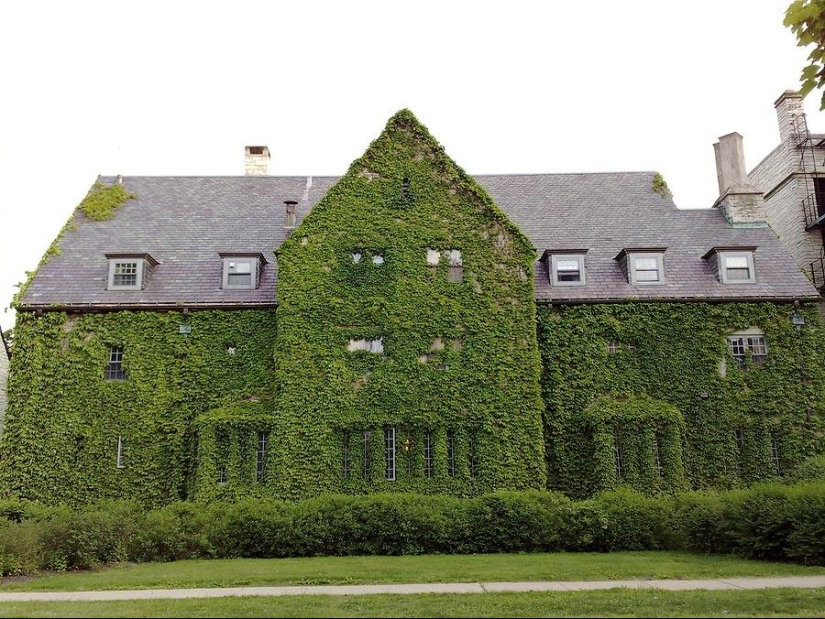 Green houses