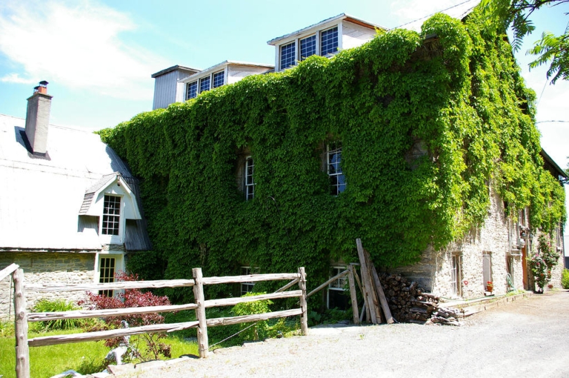 Green houses