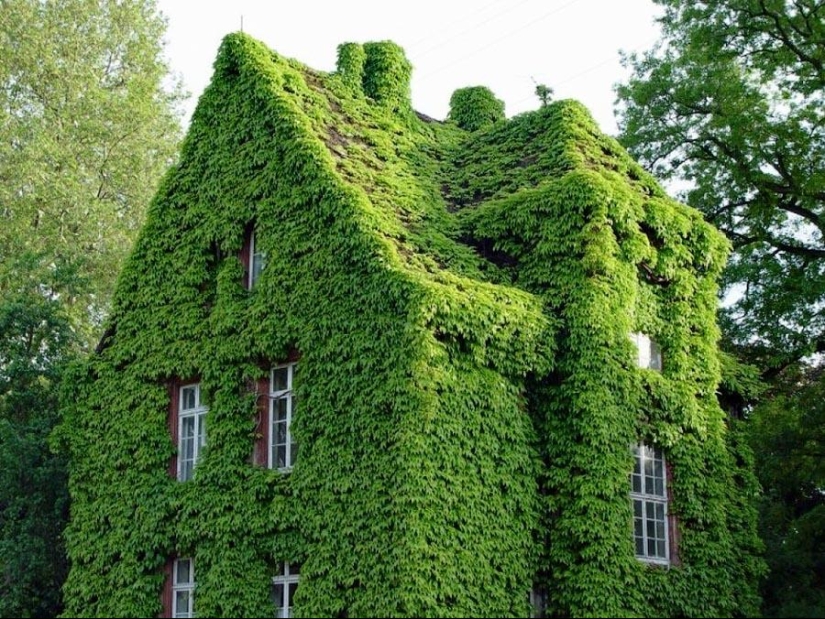 Green houses