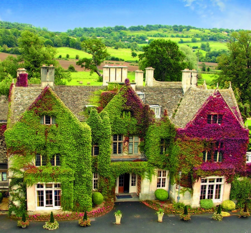 Green houses